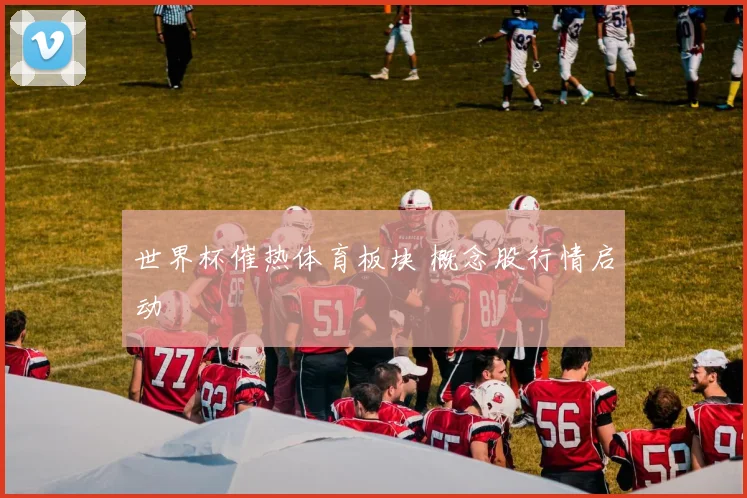 世界杯催热体育板块 概念股行情启动