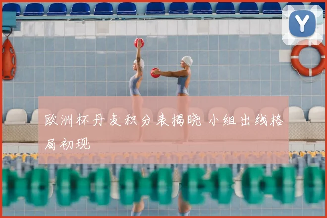 欧洲杯丹麦积分表揭晓 小组出线格局初现