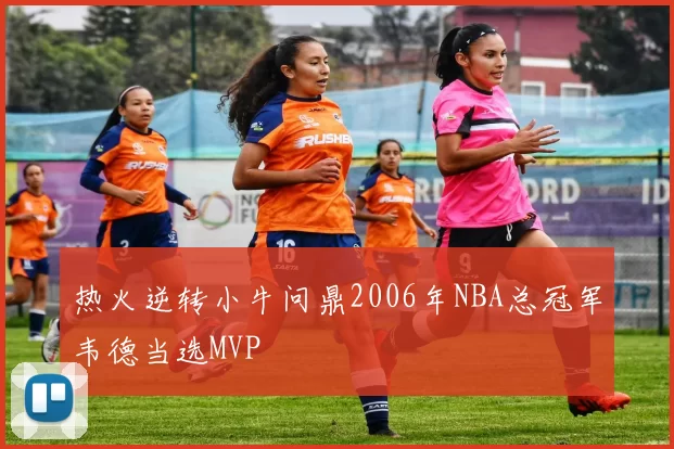 热火逆转小牛问鼎2006年NBA总冠军韦德当选MVP