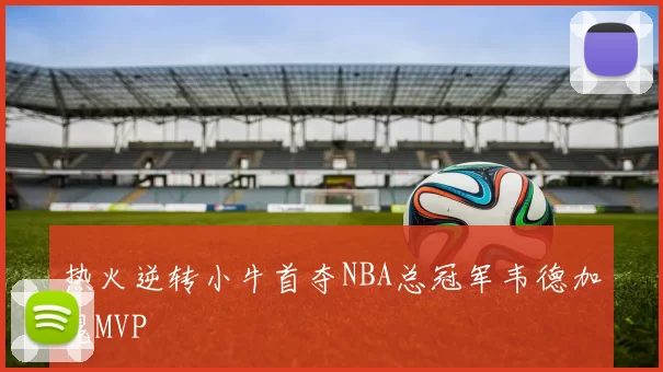 热火逆转小牛首夺NBA总冠军韦德加冕MVP