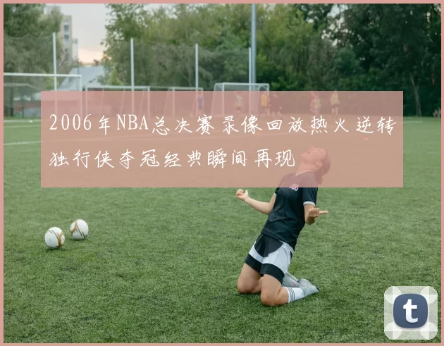 2006年NBA总决赛录像回放热火逆转独行侠夺冠经典瞬间再现
