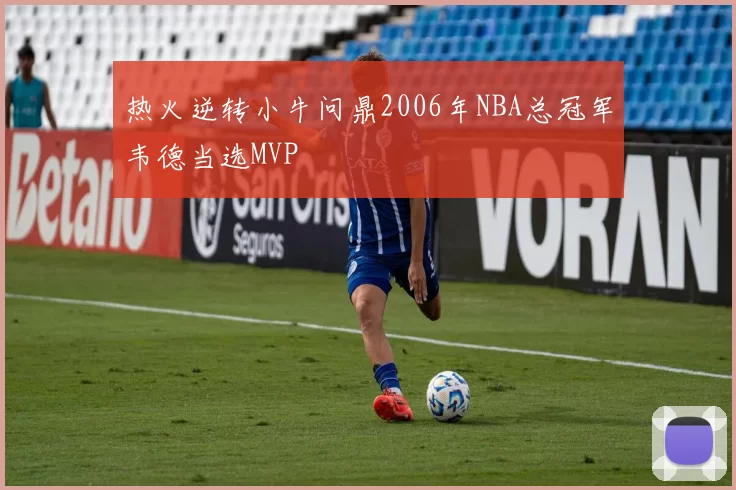 热火逆转小牛问鼎2006年NBA总冠军韦德当选MVP